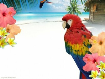 Background Design Fresh