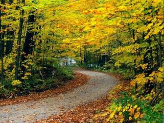 Autumn Fall Nature Wallpaper Popular
