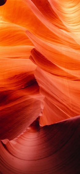 A Collection Of Vibrant Orange Wallpaper For iPhone