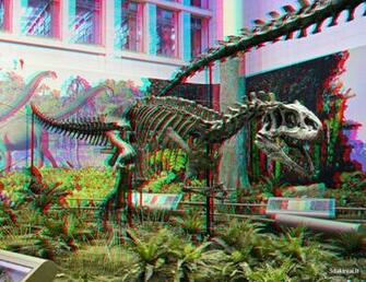 Use Red Cyan Glass To Enjoy The Photo