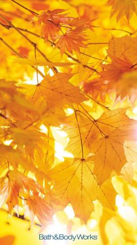 Fall Leaves iPhone Wallpaper Autumn