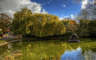 Breathtaking Pond Wallpaper