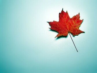 Tip Top Desktop Wallpaper 3d HD Nature