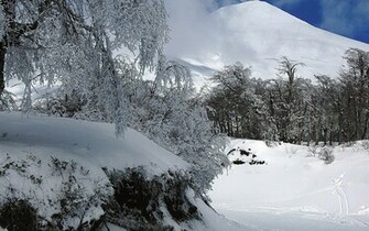 Wallpaper Winter Scenes In