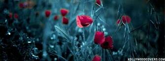 HD Wallpaper Fb Abstract Red Rose Garden