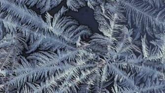 Patterns Frost Wallpaper