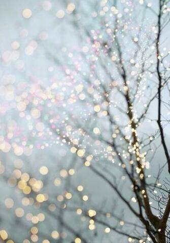 Christmas Lights iPhone Wallpaper