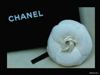 Chanel Wallpaper