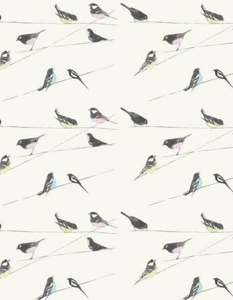 Garden Birds Stone By Louise Body Wallpaper Direct
