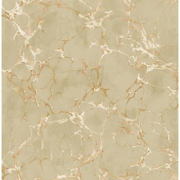 Seabrook Designs Patina Crackle Metallic Bronze And Tan Marble