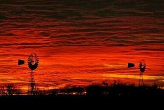 Texas Sunset Nature