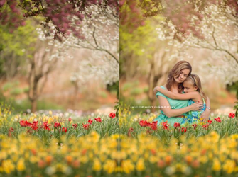 Backdrops Photoshop