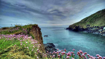 Nature Beauty Wallpaper