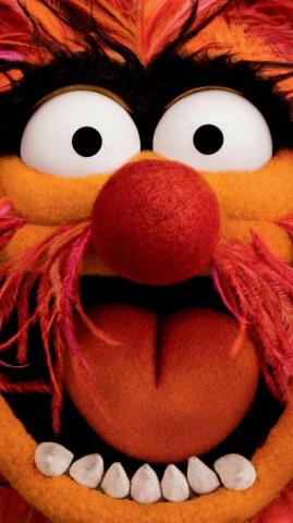The Muppets Animal Muppet Wallpaper