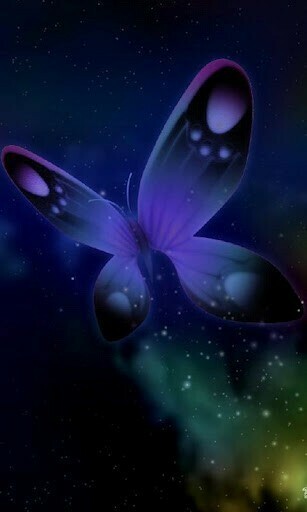 3d Butterflies Wallpaper HD Butterfly In