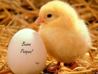 Colorful And Cute Easter Holiday Wallpaper Enjoy Happy