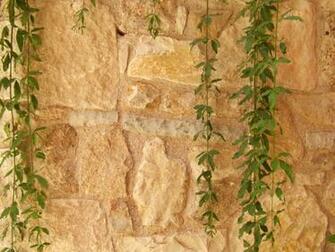 Wallpaper That Looks Like Stone Magazine Design