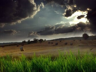 Thunderstorm Above The Field Wallpaper Nature