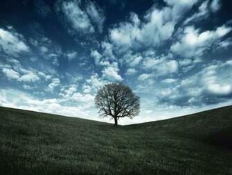 Nature Wallpaper For Samsung Galaxy Nexus Mobile Phone