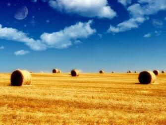 Yellow Summer Wallpaper Wide HD