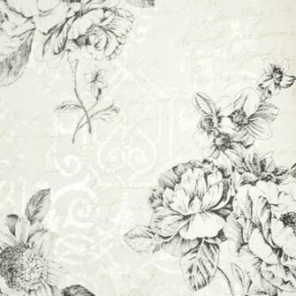 Steve S Blinds Wallpaper On