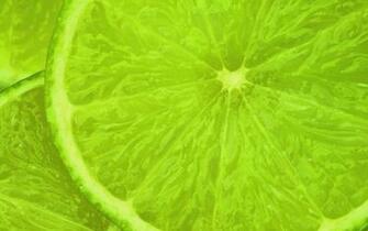 Tags Limes HD Wallpaper Green Color Lime Fruits Desktop Background