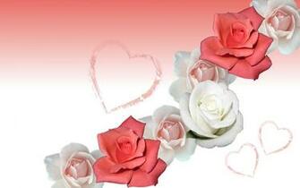 Love Rose Flowers Wallpaper Wallpaperlepi