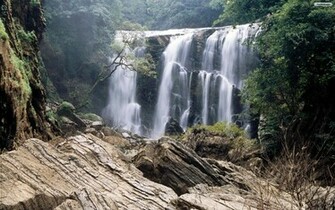 Forest Waterfall Wallpaper