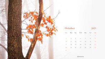 October Calendar Wallpaper Desktop Mobile