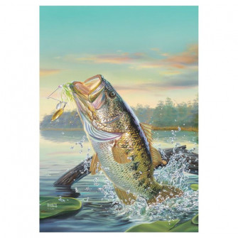 Largemouth Bass Wallpaper Fish Fishing Pictures