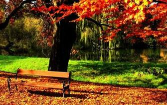 Yellow Red Autumn Park For Desktop Wallpaper Size