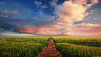 Widescreen Wallpaper HD Computer