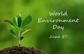 Celebrating World Environment Day Schrader Oil