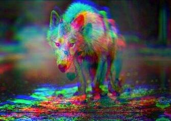 Trippy Wolves By Matilda4456