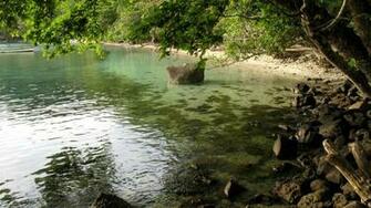 Wallpaper Coast Stones Tree Inclination