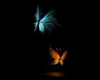 Best Butterfly Effect Wallpaper Beautiful Pictures