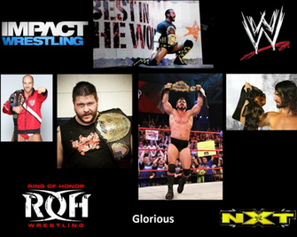 Ring Of Honor Wrestling