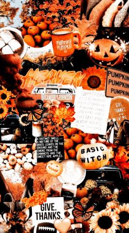 Aesthetic Halloween Wallpaper Enwallpaper