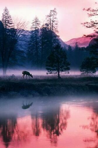 Best Nature iPhone Background Of Tips To Get