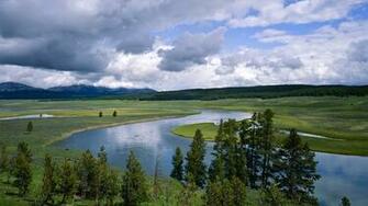 Wyoming Yellowstone Rivers National Park Nature HD Wallpaper
