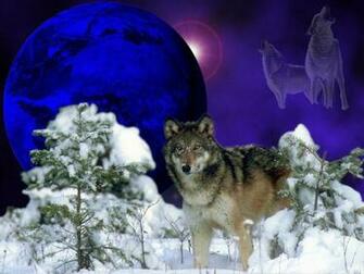 Wolf Wallpaper Desktop Background