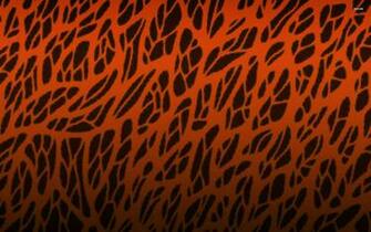 Animal Print Wallpaper Animals