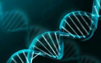 How The Internet Of Dna Could Solve Mystery This Boy S
