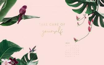 Wallpaper Discover New Designs Every Month Jo Judy