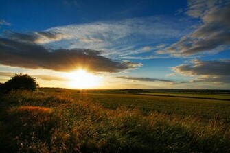 Summer Sunset Wallpaper