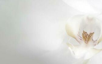 Wedding Background Wallpaper