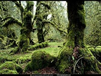 Photography National Geographic Wallpaper Art For Your