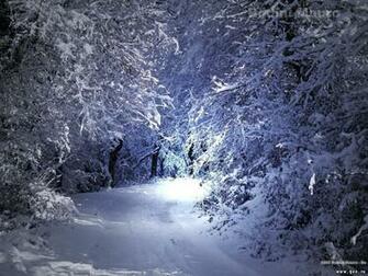Wallpaper Winter Scenery