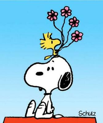 Snoopy And Woodstock Computer Desktop HD Wallpaper Background