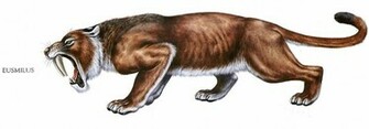 Eusmilus Sabre Toothed Tiger Cat Like Dinosaurs Wallpaper Image